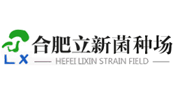 合肥立新菌工廠
